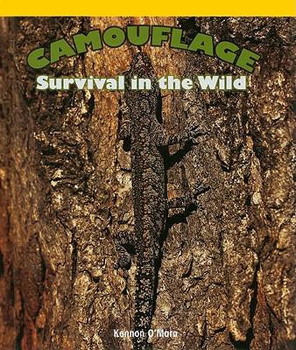 Cover image for Camouflage