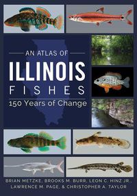 Cover image for An Atlas of Illinois Fishes: 150 Years of Change