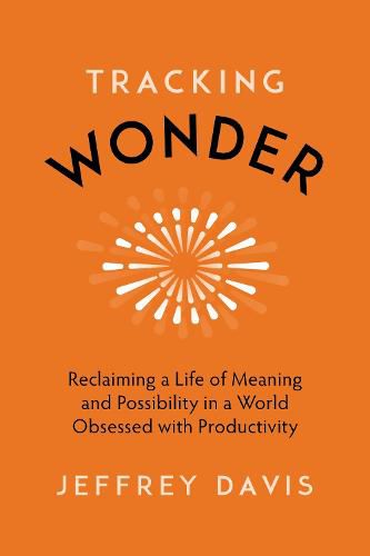 Cover image for Tracking Wonder: Reclaiming a Life of Meaning and Possibility in a World Obsessed with Productivity