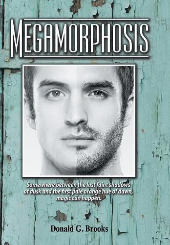 Cover image for Megamorphosis