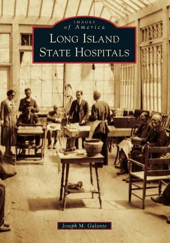 Cover image for Long Island State Hospitals