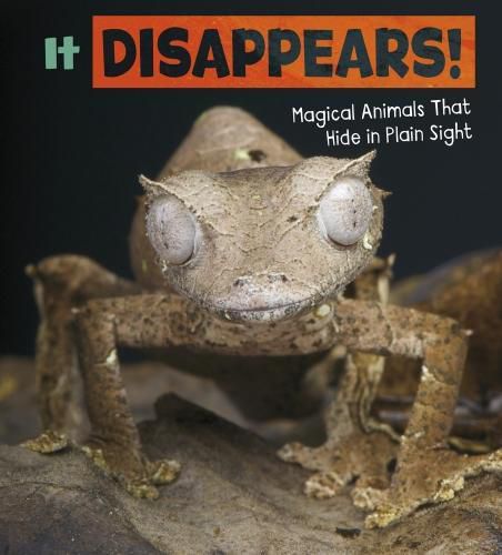 Cover image for It Disappears!: Magical Animals That Hide in Plain Sight