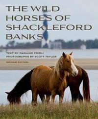 Cover image for Wild Horses of Shackleford Banks