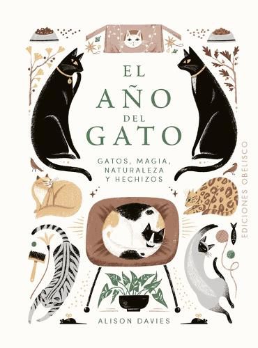 Cover image for Ano del Gato, El