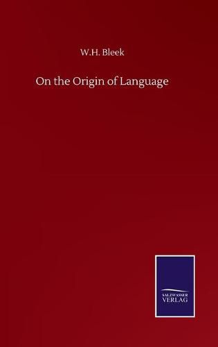 Cover image for On the Origin of Language