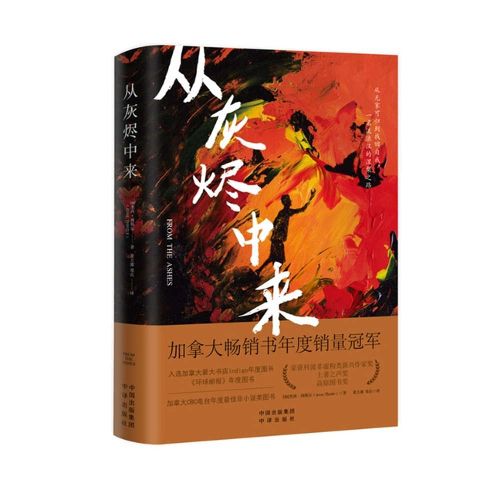 Cover image for From the Ashes