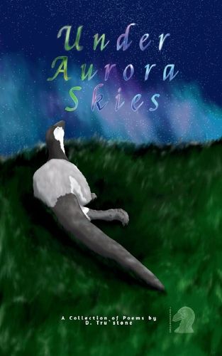 Cover image for Under Aurora Skies