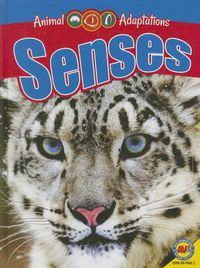 Cover image for Senses