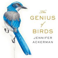 Cover image for The Genius of Birds Lib/E