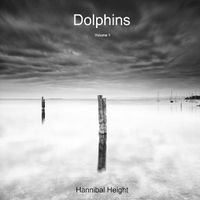 Cover image for Dolphins - Volume 1