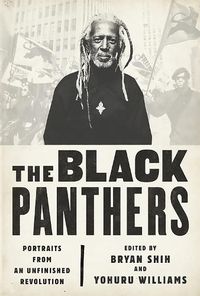 Cover image for The Black Panthers: Portraits from an Unfinished Revolution