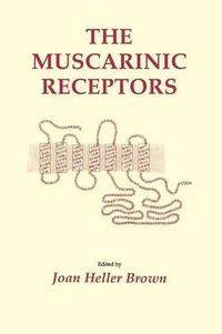 Cover image for The Muscarinic Receptors