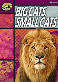 Cover image for Rapid Reading: Big Cats Small Cats (Stage 1, Level 1A)