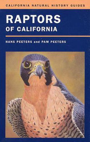 Cover image for Raptors of California