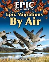 Cover image for Epic Migrations by Air