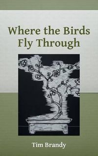 Cover image for Where the Birds Fly Through