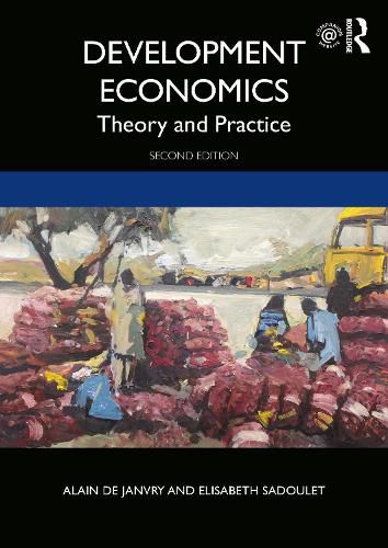 Cover image for Development Economics: Theory and Practice