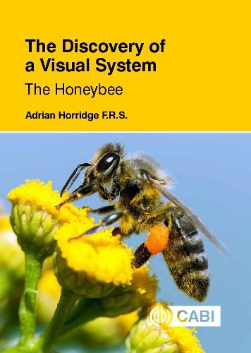 Cover image for The Discovery of a Visual System - The Honeybee