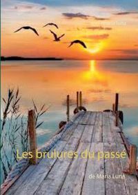 Cover image for Les brulures du passe