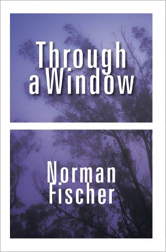 Cover image for Through a Window