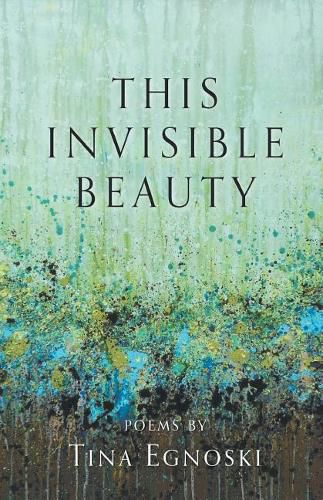 Cover image for This Invisible Beauty