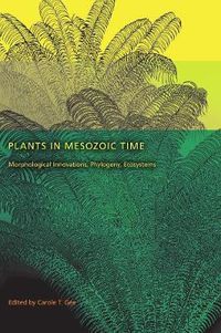 Cover image for Plants in Mesozoic Time: Morphological Innovations, Phylogeny, Ecosystems