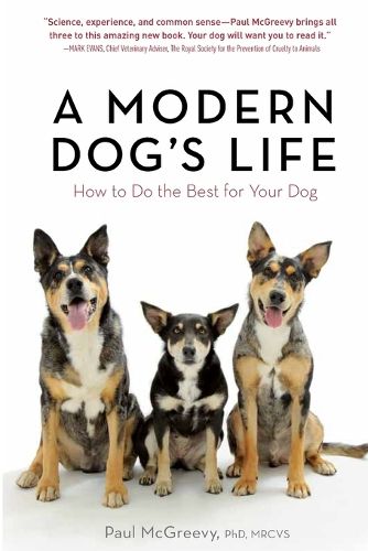 Cover image for A Modern Dog's Life: How to Do the Best for Your Dog