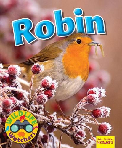 Cover image for Wildlife Watchers: Robin