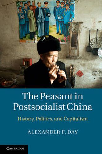 Cover image for The Peasant in Postsocialist China: History, Politics, and Capitalism