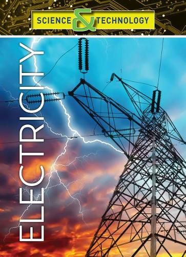 Cover image for Electricity