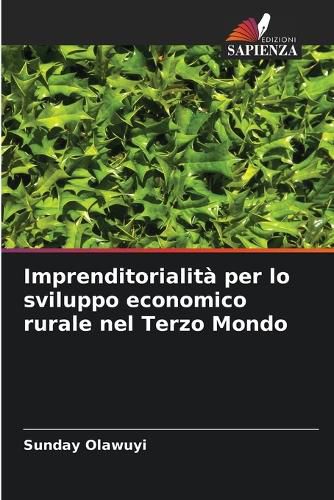 Cover image for Imprenditorialita per lo sviluppo economico rurale nel Terzo Mondo