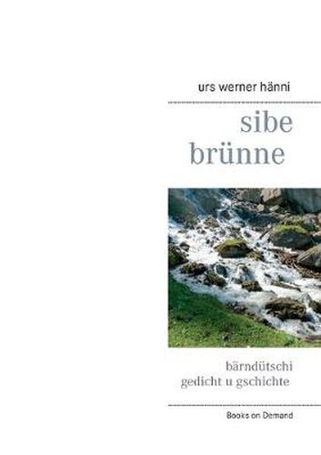 Cover image for sibe brunne