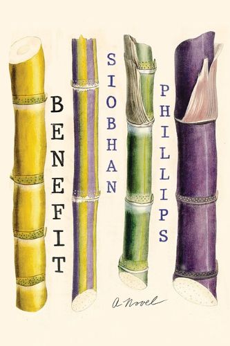 Cover image for Benefit