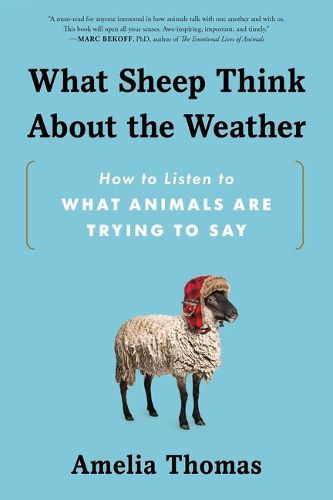 Cover image for What Sheep Think about the Weather