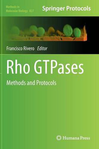 Cover image for Rho GTPases: Methods and Protocols