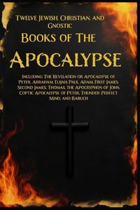 Cover image for Twelve Books of the Apocalypse