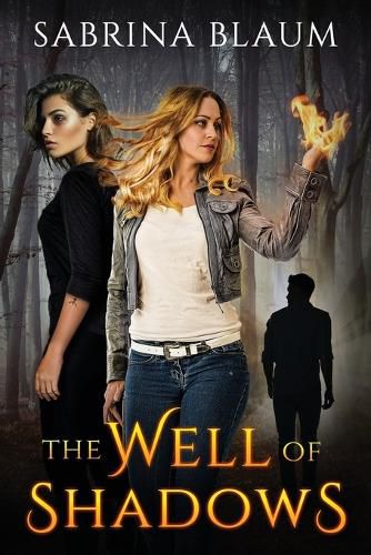 Cover image for The Well of Shadows