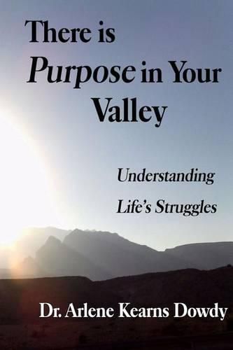 Cover image for There is Purpose in Your Valley: Understanding Life's Struggles