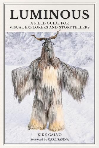 Cover image for Luminous