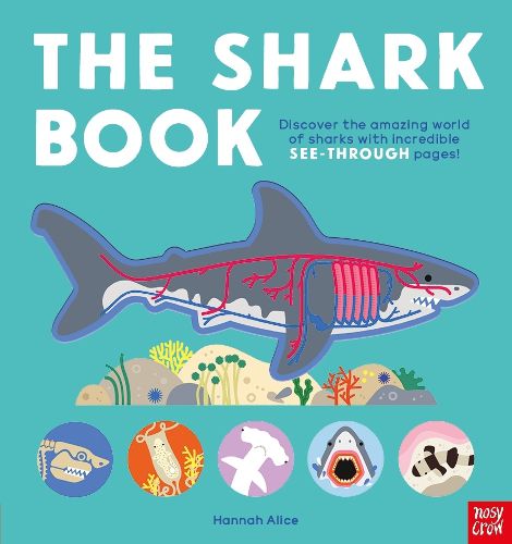 Cover image for The Shark Book