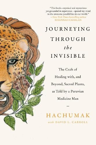 Cover image for Journeying Through the Invisible