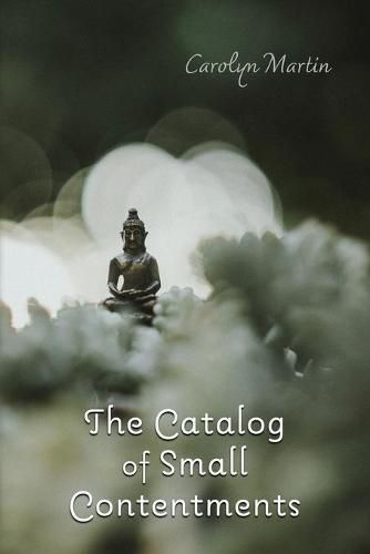 The Catalog of Small Contentments