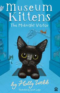 Cover image for The Midnight Visitor