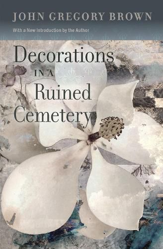 Cover image for Decorations in a Ruined Cemetary: A Novel