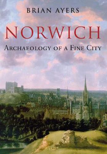 Cover image for Norwich Archaeology of a Fine City