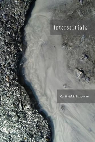 Cover image for Interstitials