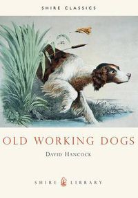 Cover image for Old Working Dogs