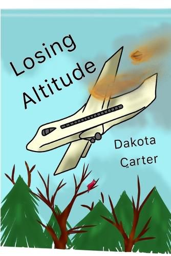 Cover image for Losing Altitude