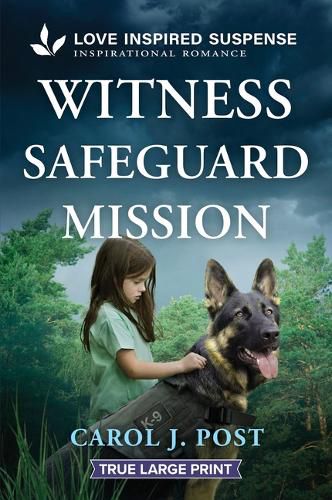 Cover image for Witness Safeguard Mission