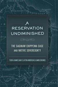 Cover image for A Reservation Undiminished